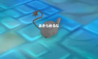 添付画像