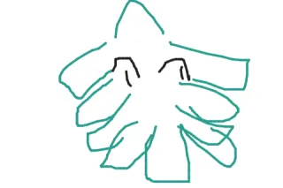 添付画像