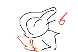 添付画像